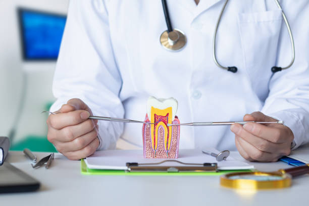 Best Urgent Care for Lost Fillings or Crowns in Old Forge, PA